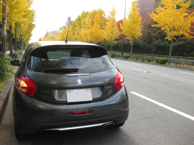 待望の車で紅葉レポート