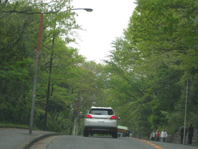 街を冒険する姿