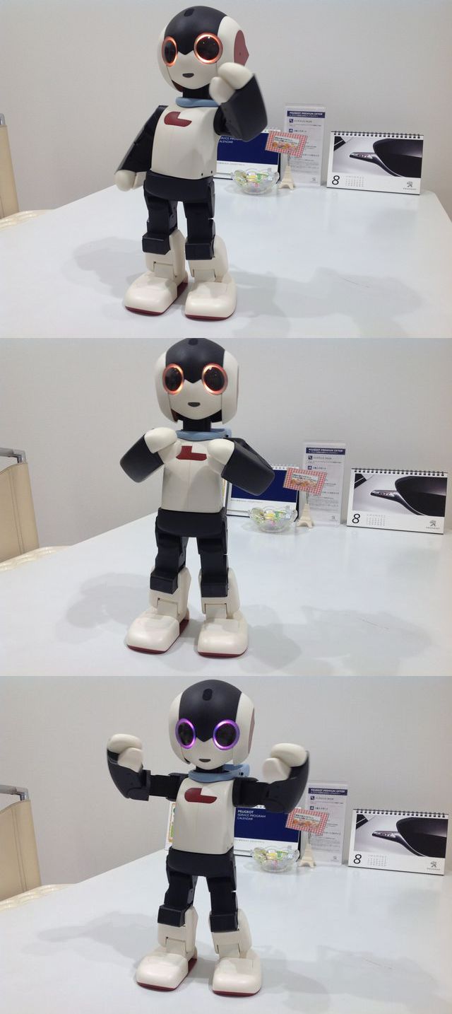 ロボットがよくぞここまで