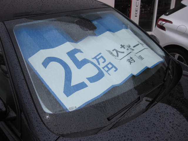 立派なツールでアピール中