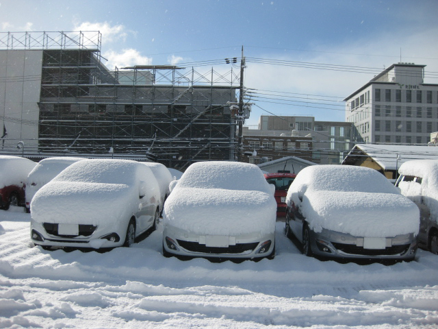 Let It Snow