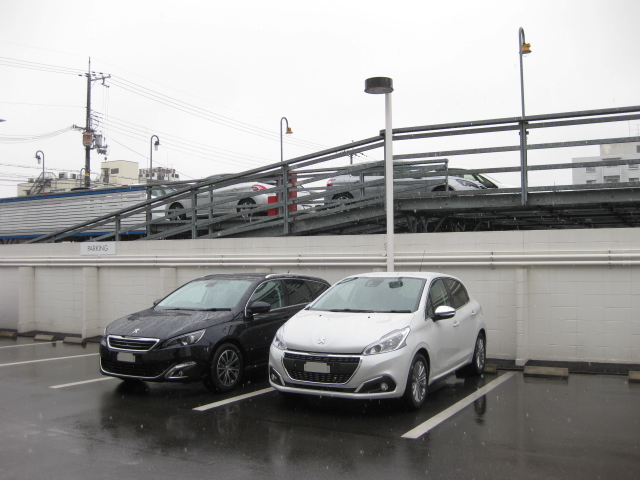 席替え風展示車入れ替え