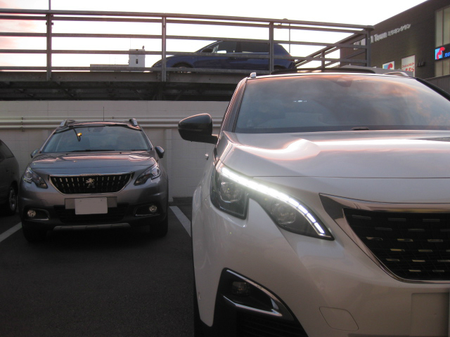 SUVSUV