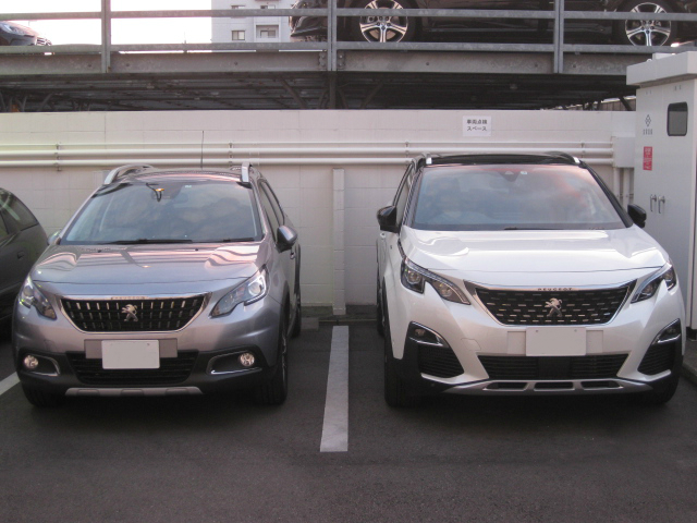 SUVSUV