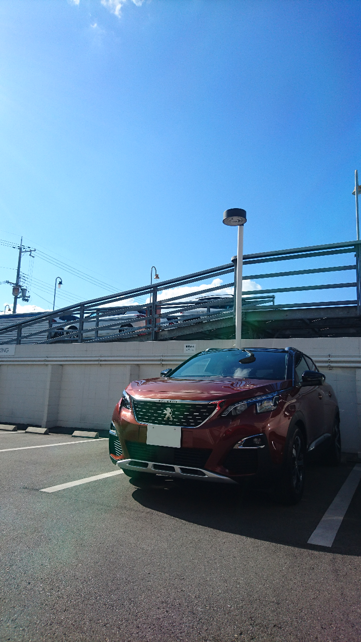 カタログカラー