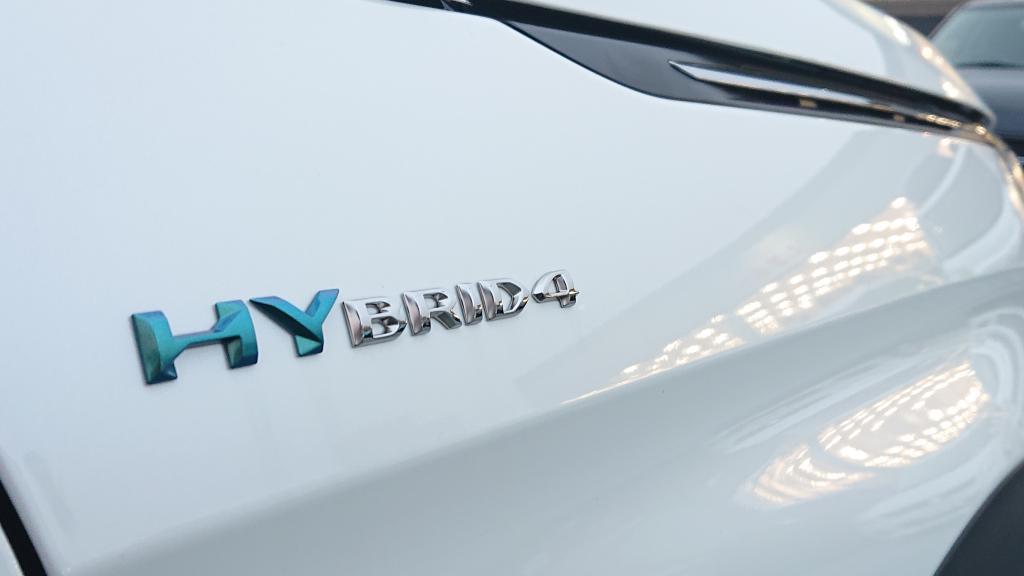 いよいよスタート