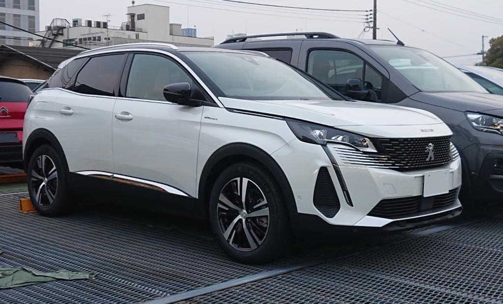 いよいよスタート