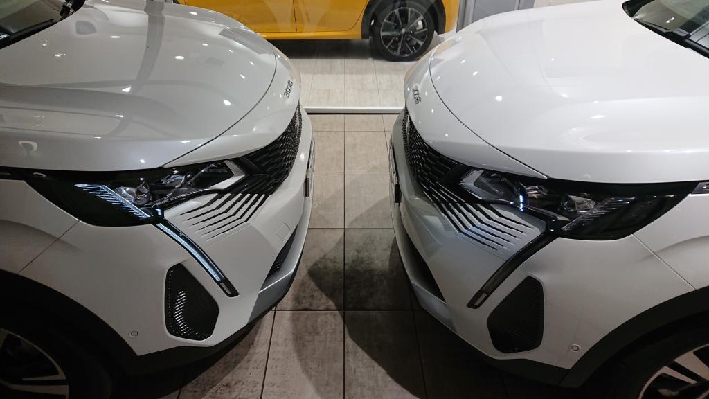 ゴールデンウィークです