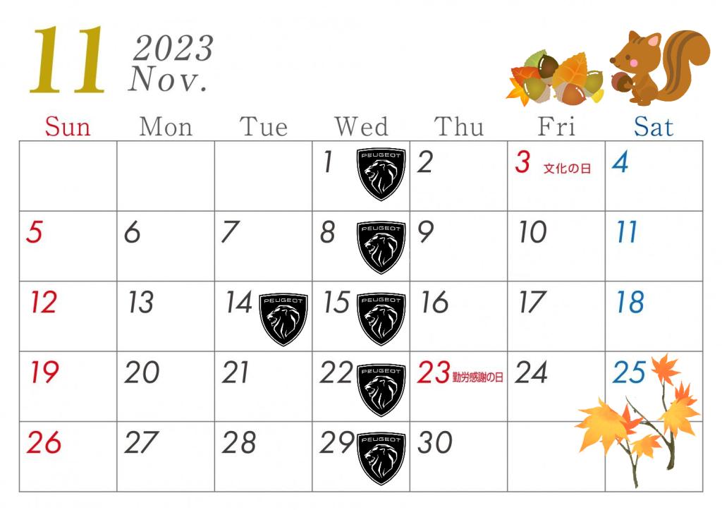 11月定休日のお知らせ🦁
