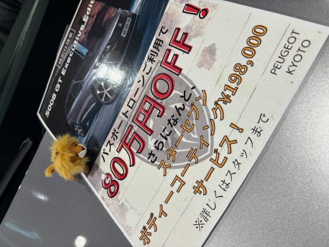 展示車入れ替わりました🦁✨