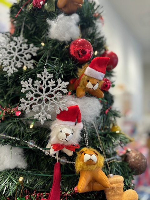 12月はフェアがたくさん🎄