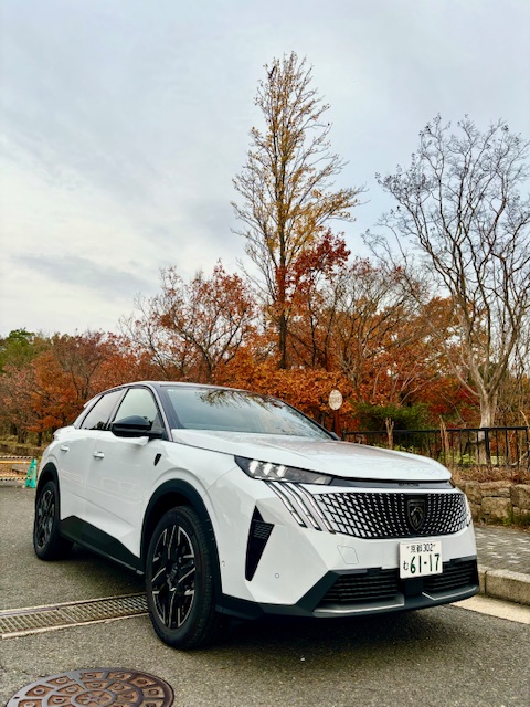 39フェアも折り返し地点！