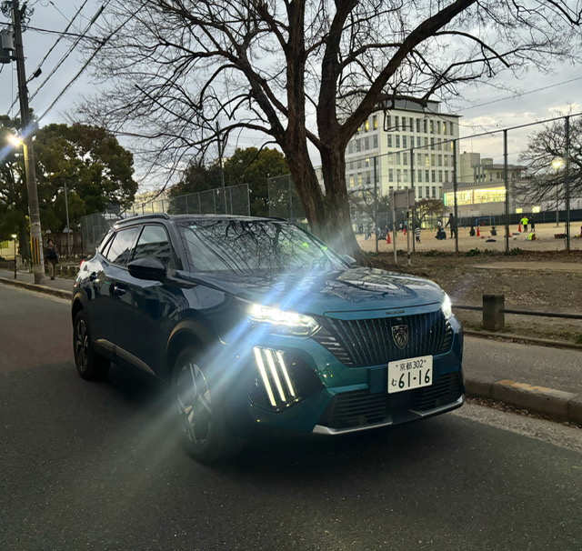 NEW2008オススメ🦁