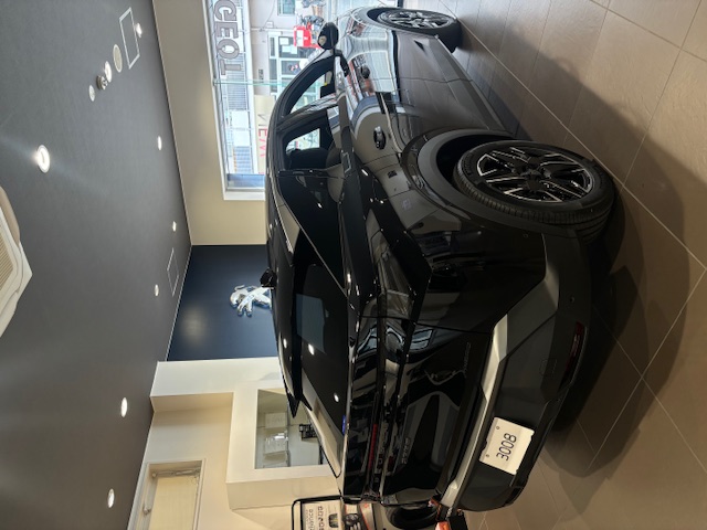 NEW3008 Black Edition展示しております！