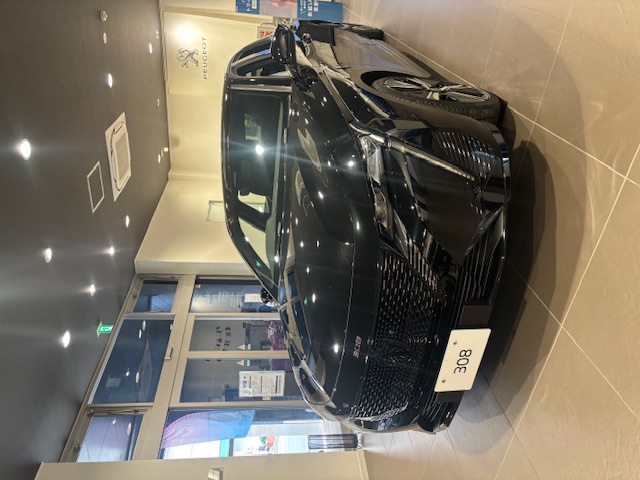 308お選びいただけるのは今だけです！