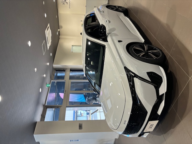 308お選びいただけるのは今だけです！