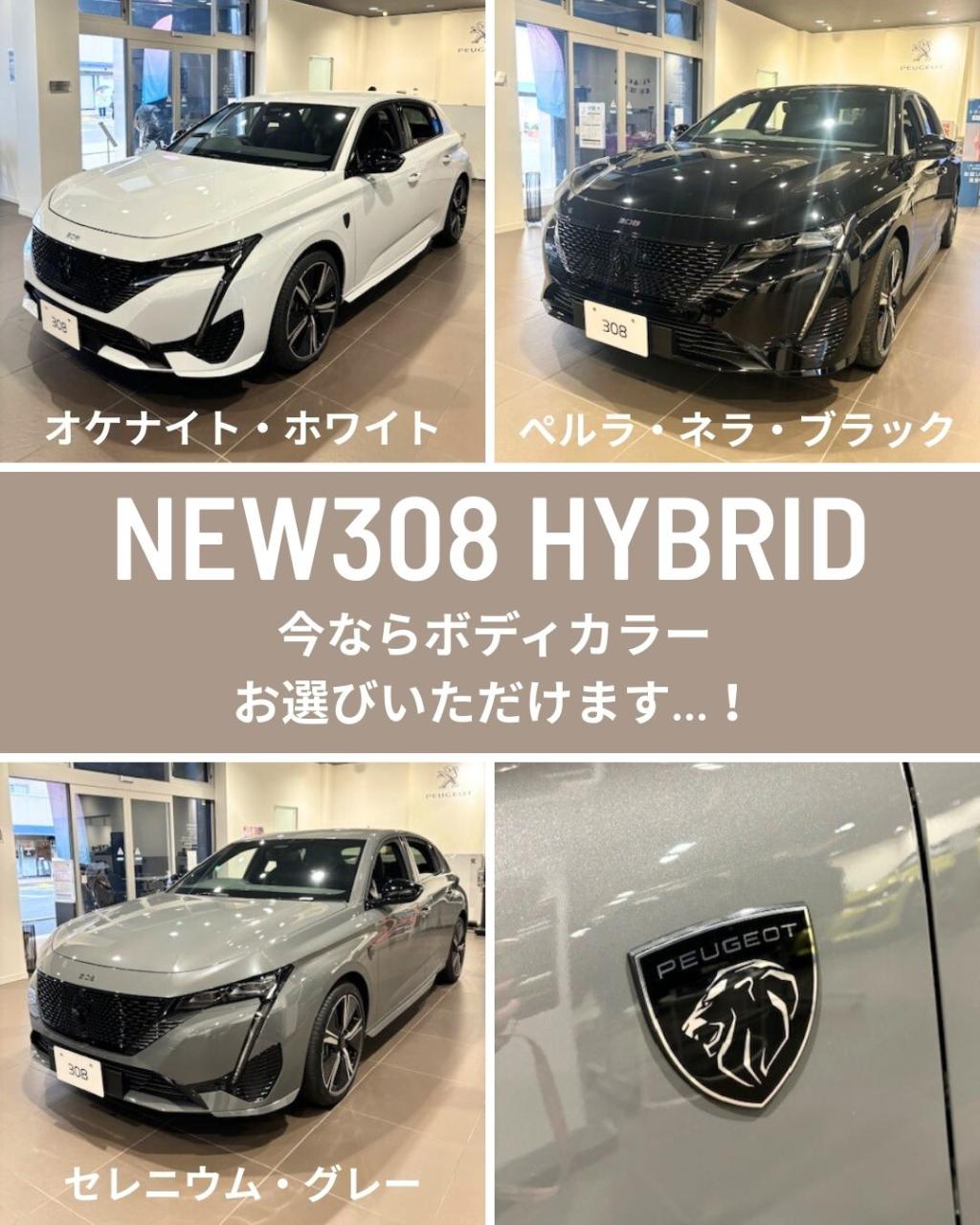 308お選びいただけるのは今だけです！