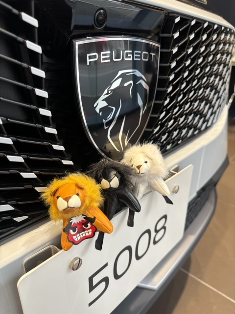 3/10(火)3/11(水)は定休日です！