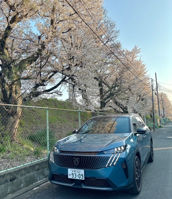 5008でドライブ🌸